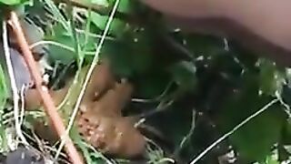 Juicy creamy poop on the grass