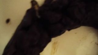 Huge Shit on the plate