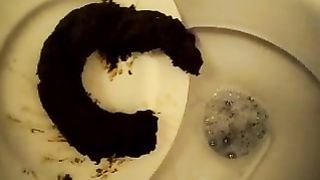 Huge Shit on the plate