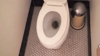 Summer s Morning Dump