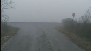 Girls shitting on the road