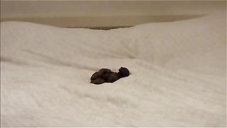 Sexy blonde shits on her bed