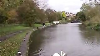 pissing next to the bridge lifting her skirt