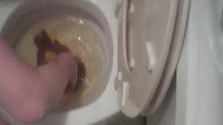 eating her shit from the toilet and loving it dirty scat