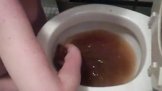 eating her shit from the toilet and loving it dirty scat