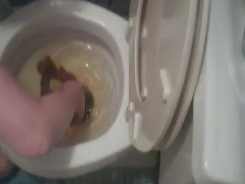 Eating her shit from the toilet and loving it dirty scat