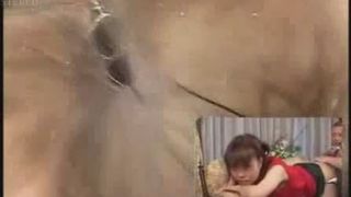 Asian girl with shitty ass gets colonoscopic test