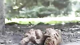 Teen Poops from a park bench