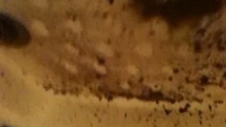 Diarrhea in the bathroom floor