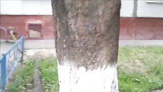 drunk woman pooping on the street