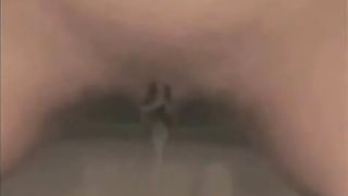 Newbie pisser did it