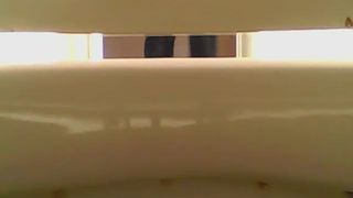 Gemma Taking a nice poop