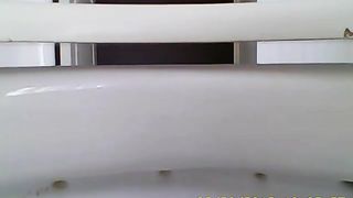 Gemma Taking a nice poop