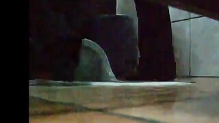 Amateur wife caught pooping in public toilet