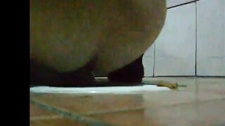 Amateur wife caught pooping in public toilet