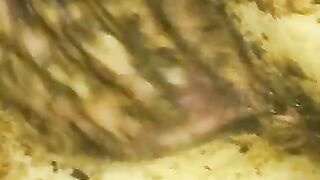 Scat teaser and Smearing Solo