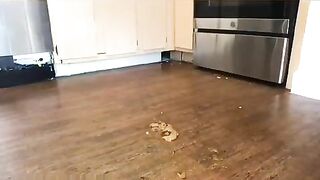 Dark sexy babe poops in the kitchen