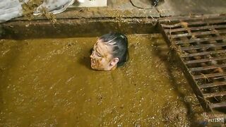 Betty completely submerges in cow shit