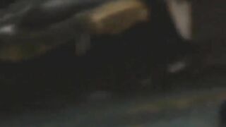 Japanese chicks poop in the bus