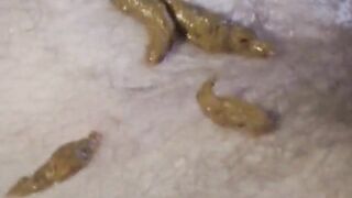 Chubby lady and sexy babe enjoying hot scat threesome