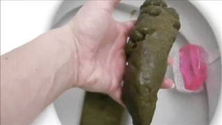 Juicy turd shitting in the toilet