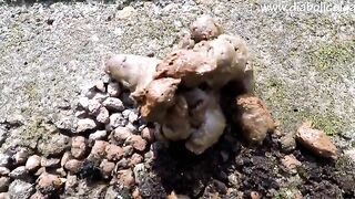 Sexy redhead girl poops outdoor