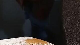 Posing and shitting in the toilet