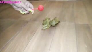 Teasing her poop with lollipop