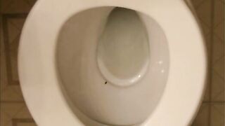 Gorgeous naked babe pooping in toilet