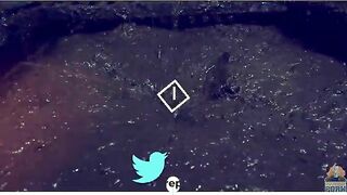 Sexy sex in horse and cow dung