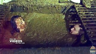 Sexy sex in horse and cow dung