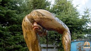 Smearing and masturbating in the cowshit