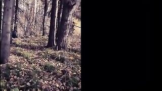 Dirty girl eating shit from the toilet