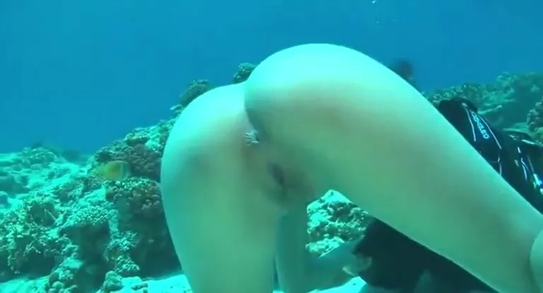 768px x 414px - Pooping deep in the sea