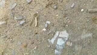 Gorgeous naked ass lady poops outdoor