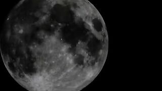 Sexy brunette babe sucking cock while smearing