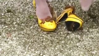 Outdoor poop on her shoes