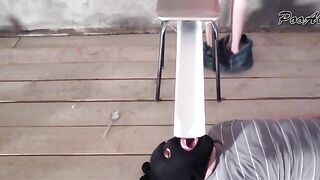 Kinky brunette girl dropping shit for slave