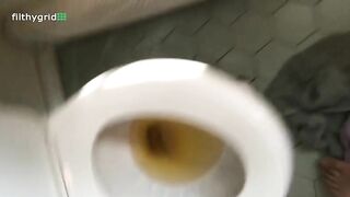 Lovely chubby ass lady shits in the toilet