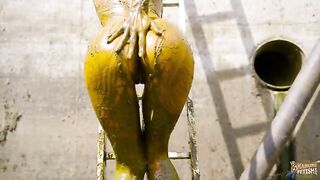 Christy Ley in the manure pit show