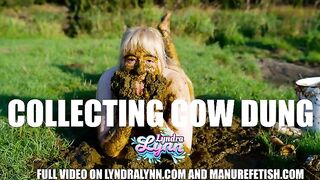 Collecting and smearing Cow dung