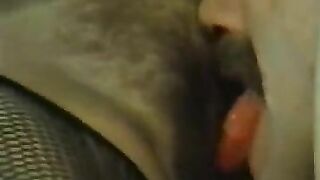 Color Climax Bizarre Taste