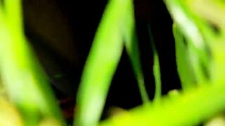 Early morning piss and shit in the grass