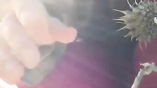 Closeup outdoor poop