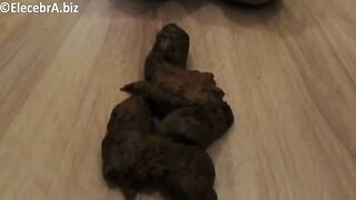 Elecebra Shitting and eating shit