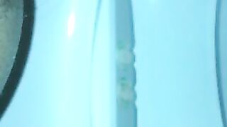 Evening poop in the toilet