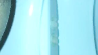 Evening poop in the toilet