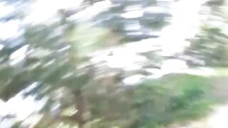 Outdoor poop in the backyard