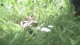 Natural poop outdoor