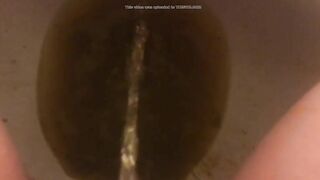 Lovely ass lady pissing and pooping heavily